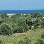 Pinheiro